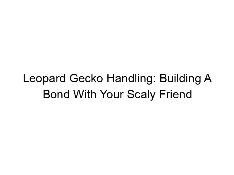 Read more about the article Leopard Gecko Handling: Building A Bond With Your Scaly Friend