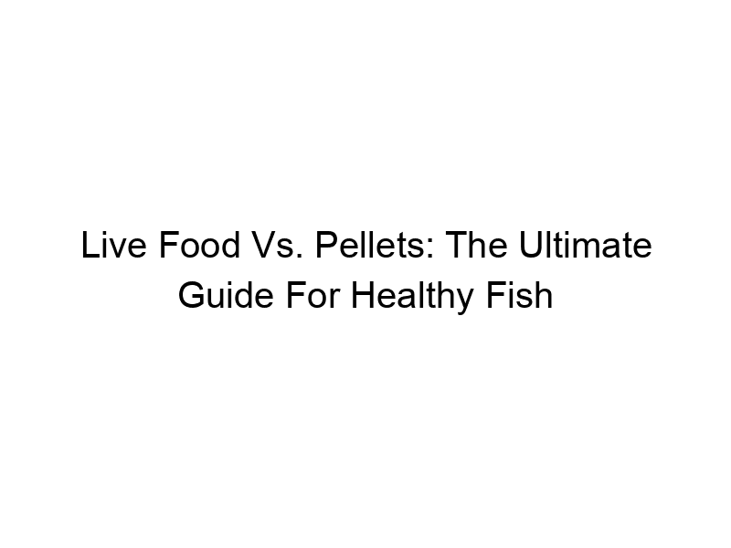 Read more about the article Live Food Vs. Pellets: The Ultimate Guide For Healthy Fish