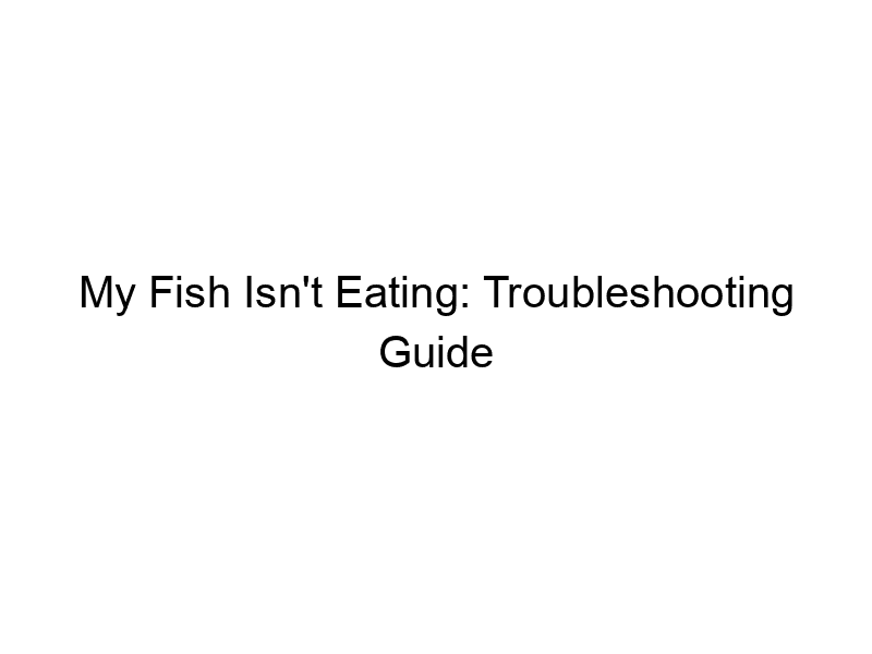 Read more about the article My Fish Isn’t Eating: Troubleshooting Guide