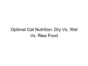 Read more about the article Optimal Cat Nutrition: Dry Vs. Wet Vs. Raw Food