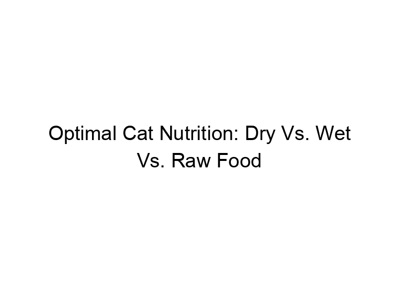 Read more about the article Optimal Cat Nutrition: Dry Vs. Wet Vs. Raw Food