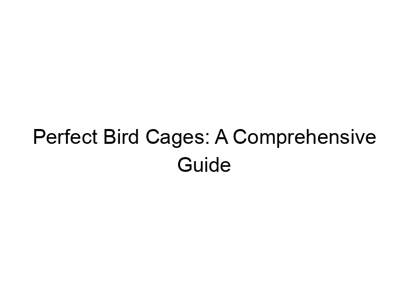 Read more about the article Perfect Bird Cages: A Comprehensive Guide