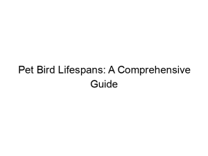 Read more about the article Pet Bird Lifespans: A Comprehensive Guide