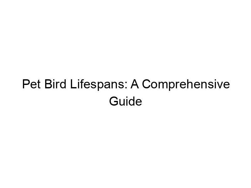 Read more about the article Pet Bird Lifespans: A Comprehensive Guide