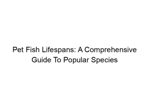 Read more about the article Pet Fish Lifespans: A Comprehensive Guide To Popular Species