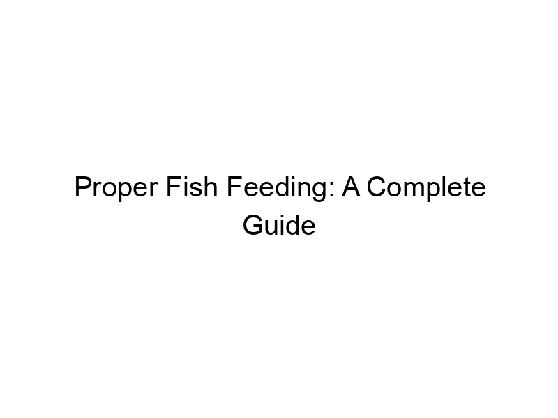 Read more about the article Proper Fish Feeding: A Complete Guide