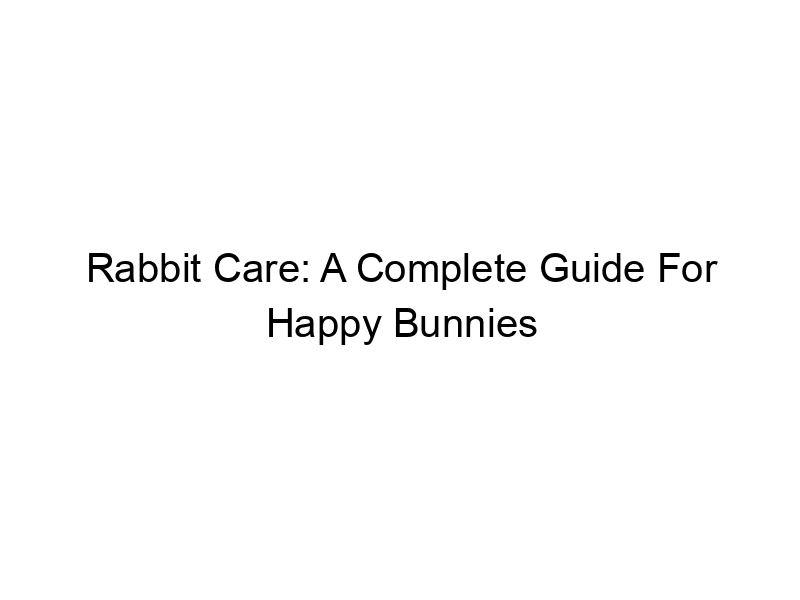 Read more about the article Rabbit Care: A Complete Guide For Happy Bunnies