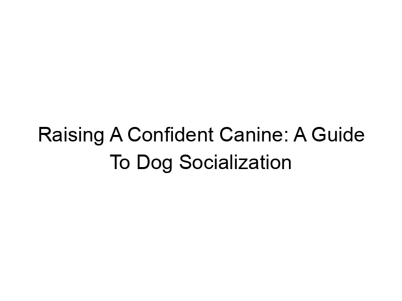 Read more about the article Raising A Confident Canine: A Guide To Dog Socialization