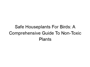 Read more about the article Safe Houseplants For Birds: A Comprehensive Guide To Non-Toxic Plants
