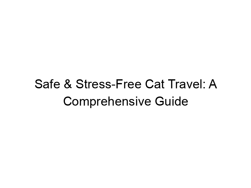 Read more about the article Safe & Stress-Free Cat Travel: A Comprehensive Guide