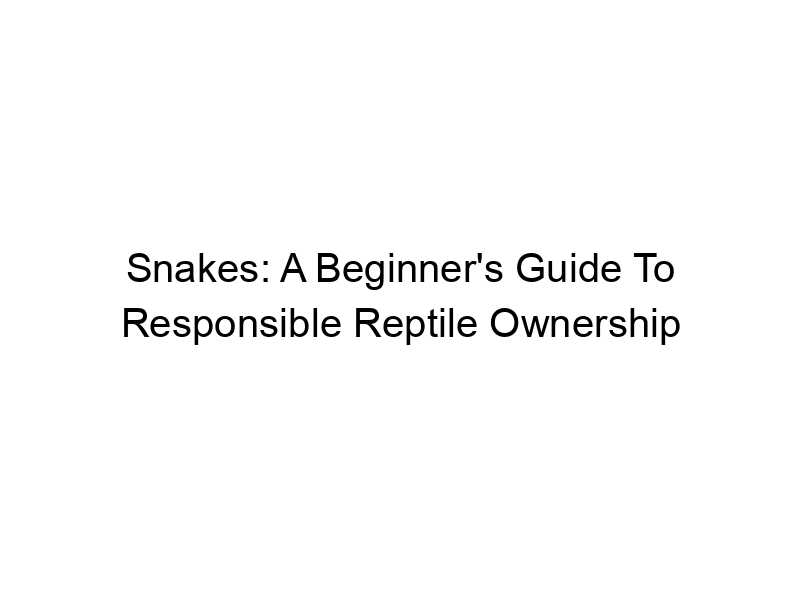 Read more about the article Snakes: A Beginner’s Guide To Responsible Reptile Ownership