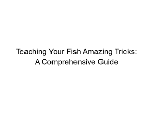 Read more about the article Teaching Your Fish Amazing Tricks: A Comprehensive Guide