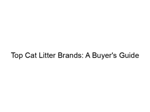 Read more about the article Top Cat Litter Brands: A Buyer’s Guide