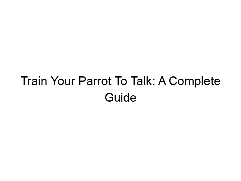 Read more about the article Train Your Parrot To Talk: A Complete Guide