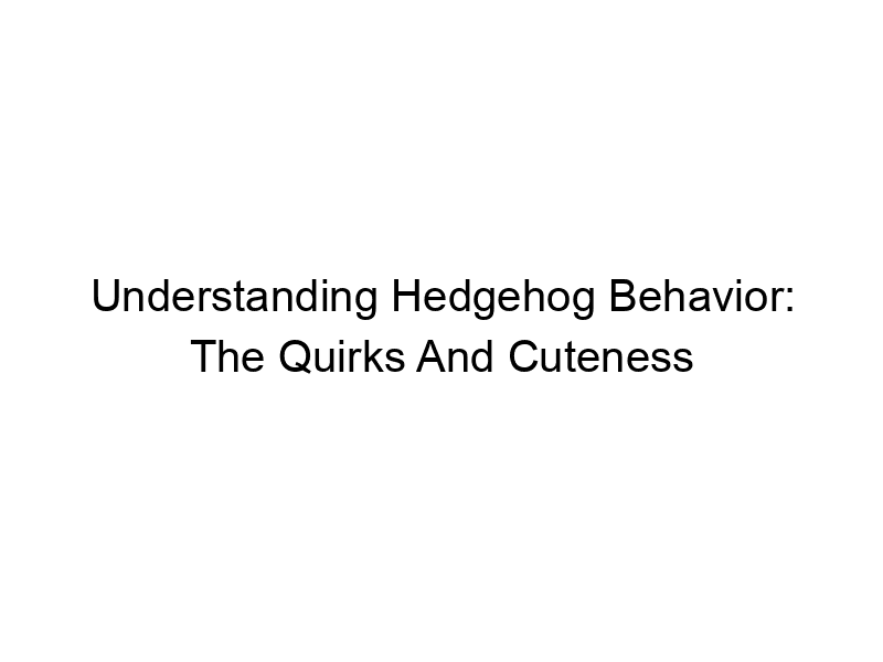Read more about the article Understanding Hedgehog Behavior: The Quirks And Cuteness