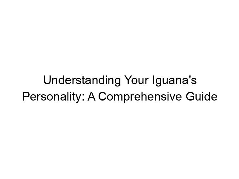 Read more about the article Understanding Your Iguana’s Personality: A Comprehensive Guide