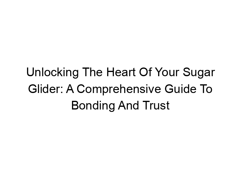 Read more about the article Unlocking The Heart Of Your Sugar Glider: A Comprehensive Guide To Bonding And Trust