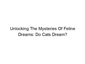 Read more about the article Unlocking The Mysteries Of Feline Dreams: Do Cats Dream?