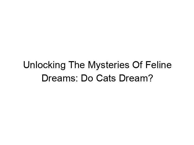 Read more about the article Unlocking The Mysteries Of Feline Dreams: Do Cats Dream?