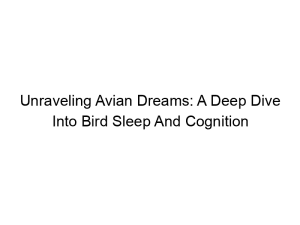 Read more about the article Unraveling Avian Dreams: A Deep Dive Into Bird Sleep And Cognition