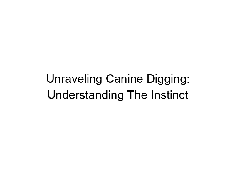 Read more about the article Unraveling Canine Digging: Understanding The Instinct