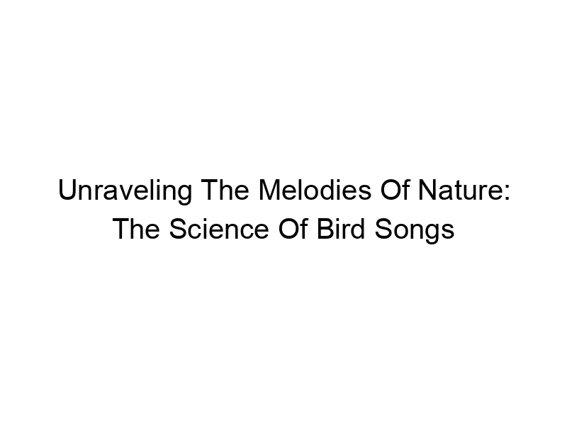 Read more about the article Unraveling The Melodies Of Nature: The Science Of Bird Songs