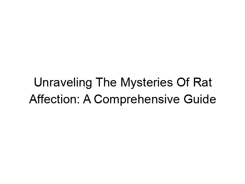 Read more about the article Unraveling The Mysteries Of Rat Affection: A Comprehensive Guide
