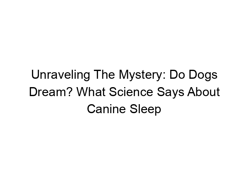 Read more about the article Unraveling The Mystery: Do Dogs Dream? What Science Says About Canine Sleep