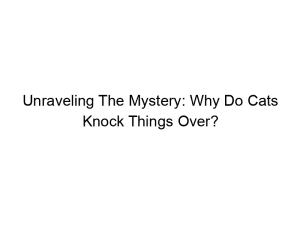 Read more about the article Unraveling The Mystery: Why Do Cats Knock Things Over?
