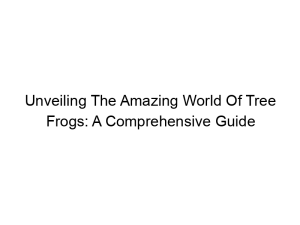 Read more about the article Unveiling The Amazing World Of Tree Frogs: A Comprehensive Guide