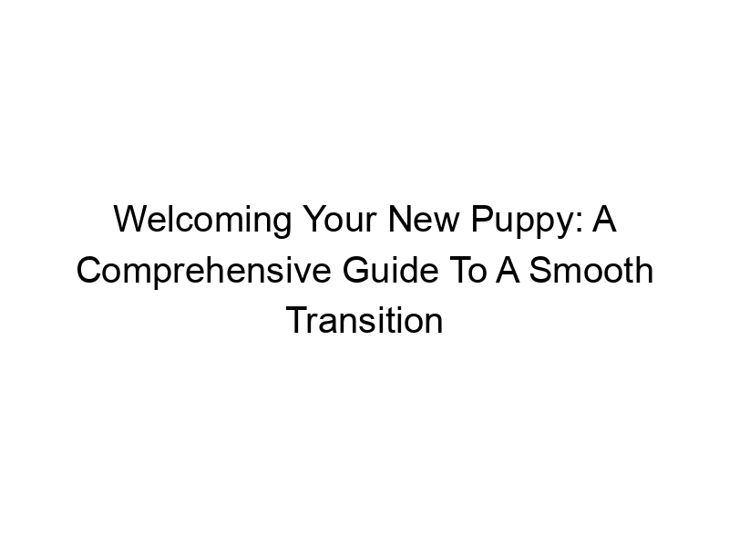 Read more about the article Welcoming Your New Puppy: A Comprehensive Guide To A Smooth Transition
