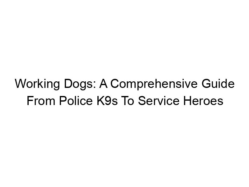 Read more about the article Working Dogs: A Comprehensive Guide From Police K9s To Service Heroes