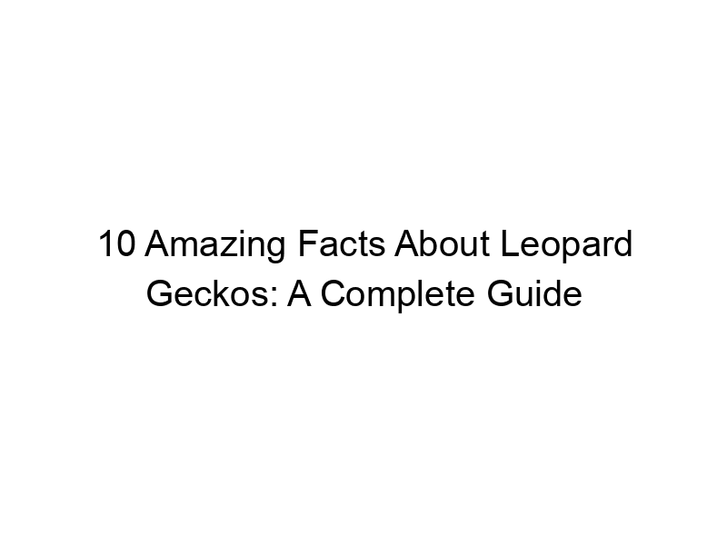 Read more about the article 10 Amazing Facts About Leopard Geckos: A Complete Guide