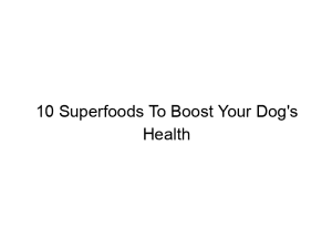 Read more about the article 10 Superfoods To Boost Your Dog’s Health