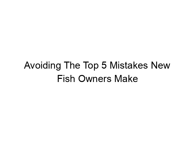 Read more about the article Avoiding The Top 5 Mistakes New Fish Owners Make