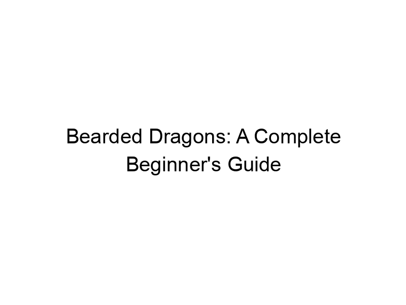 Read more about the article Bearded Dragons: A Complete Beginner’s Guide