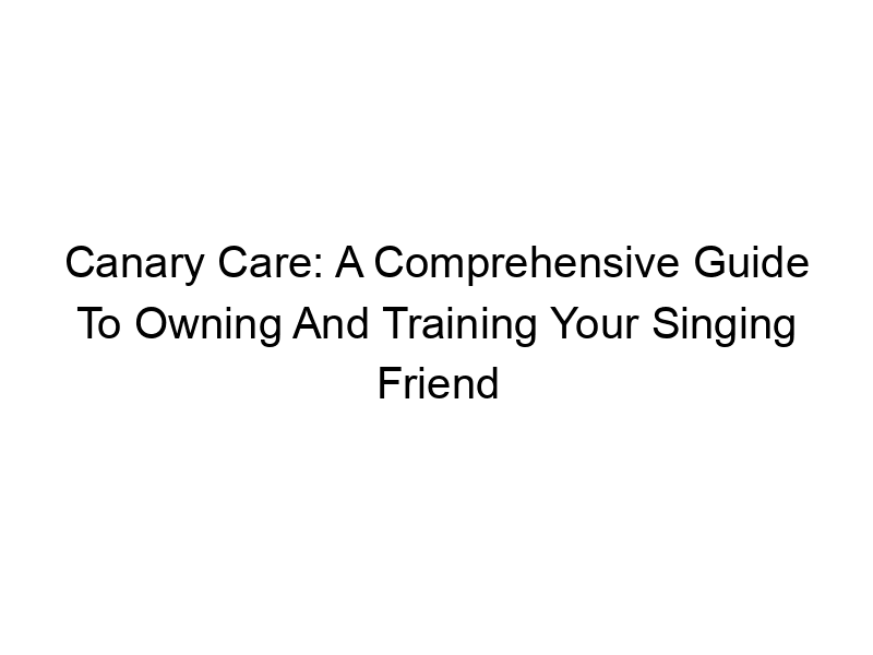Read more about the article Canary Care: A Comprehensive Guide To Owning And Training Your Singing Friend
