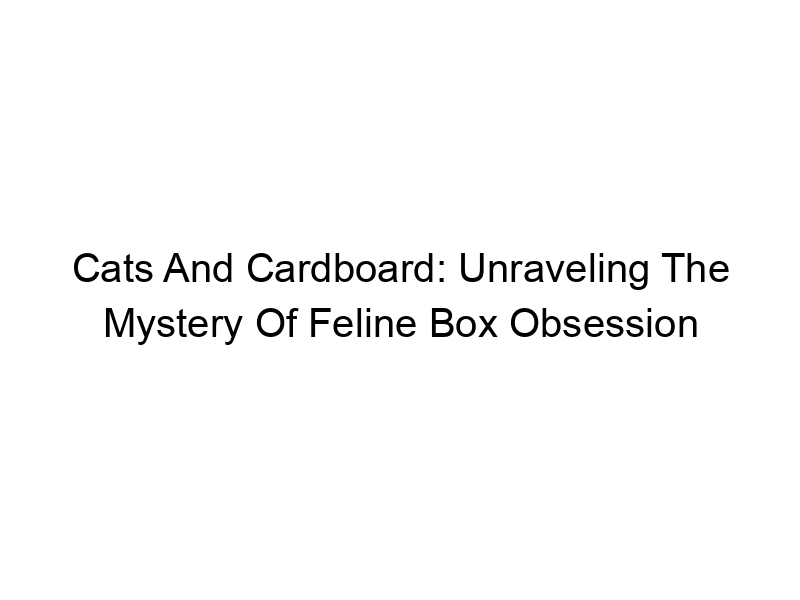 Read more about the article Cats And Cardboard: Unraveling The Mystery Of Feline Box Obsession