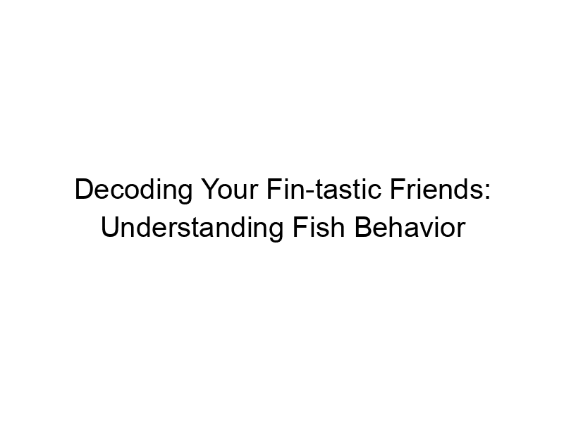 Read more about the article Decoding Your Fin-tastic Friends: Understanding Fish Behavior