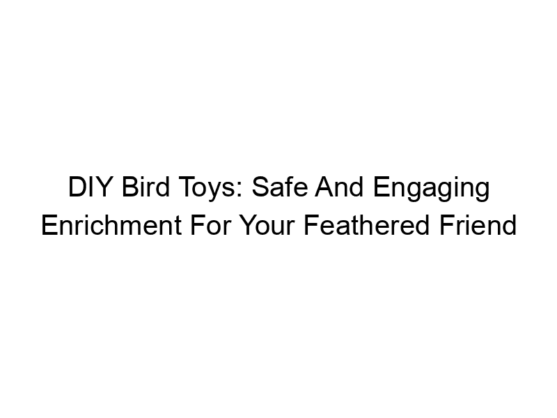 Read more about the article DIY Bird Toys: Safe And Engaging Enrichment For Your Feathered Friend