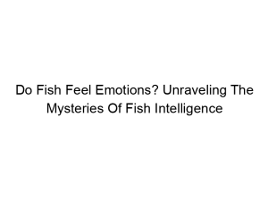 Read more about the article Do Fish Feel Emotions? Unraveling The Mysteries Of Fish Intelligence
