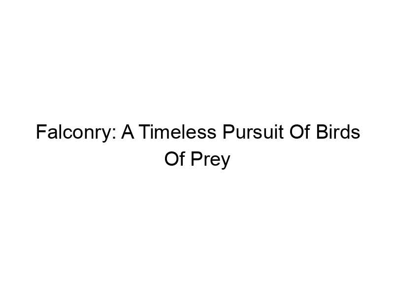 Read more about the article Falconry: A Timeless Pursuit Of Birds Of Prey