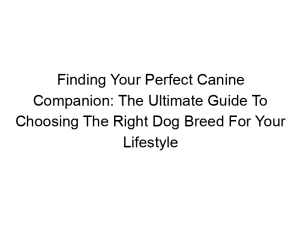 Read more about the article Finding Your Perfect Canine Companion: The Ultimate Guide To Choosing The Right Dog Breed For Your Lifestyle