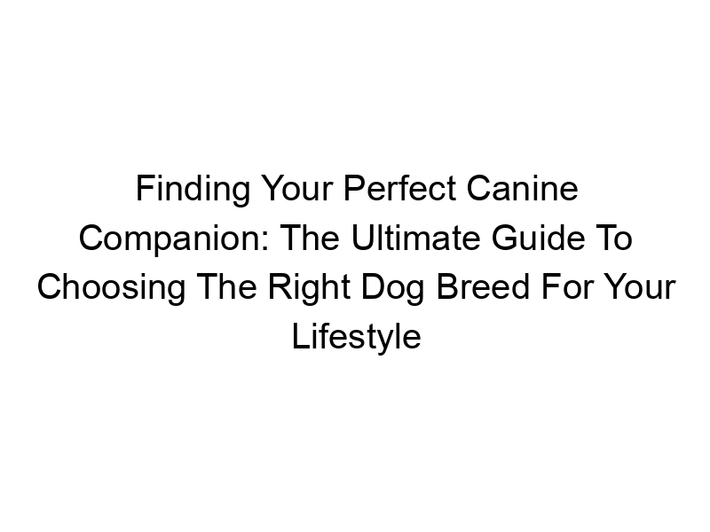 You are currently viewing Finding Your Perfect Canine Companion: The Ultimate Guide To Choosing The Right Dog Breed For Your Lifestyle