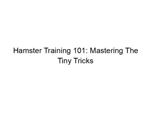 Read more about the article Hamster Training 101: Mastering The Tiny Tricks