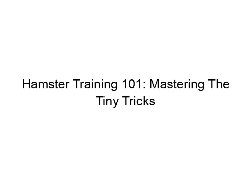 Read more about the article Hamster Training 101: Mastering The Tiny Tricks