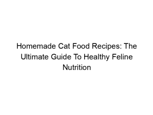Read more about the article Homemade Cat Food Recipes: The Ultimate Guide To Healthy Feline Nutrition