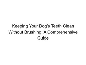 Read more about the article Keeping Your Dog’s Teeth Clean Without Brushing: A Comprehensive Guide