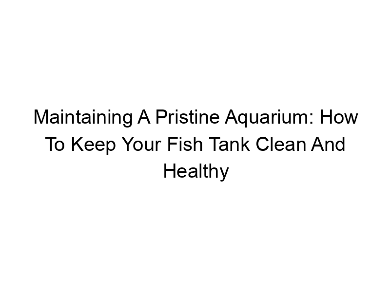 Read more about the article Maintaining A Pristine Aquarium: How To Keep Your Fish Tank Clean And Healthy