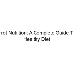 Parrot Nutrition: A Complete Guide To A Healthy Diet